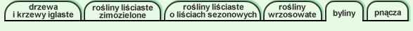 tu jeste�